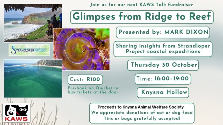 558769266 1229719249196704 2981774797384514598 n 768x432